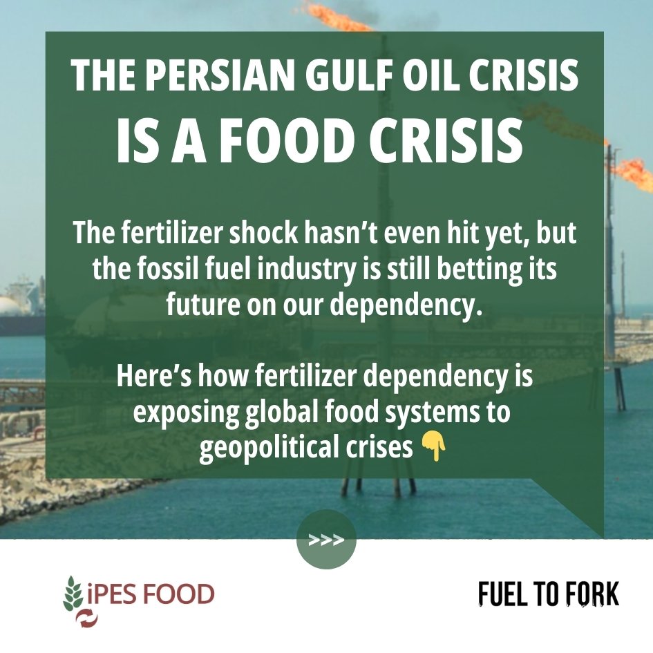 IPES-Food tweet media