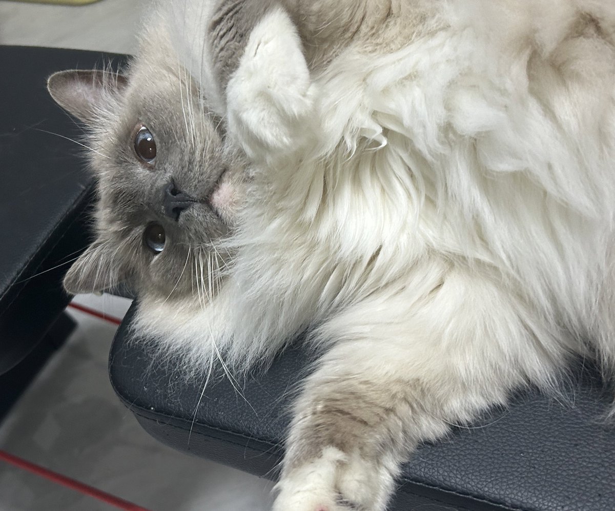 能量🌧️ tweet media