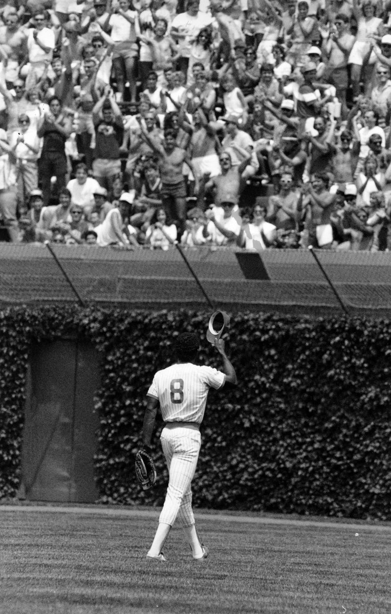 OBVIOUS SHIRTS® tweet media