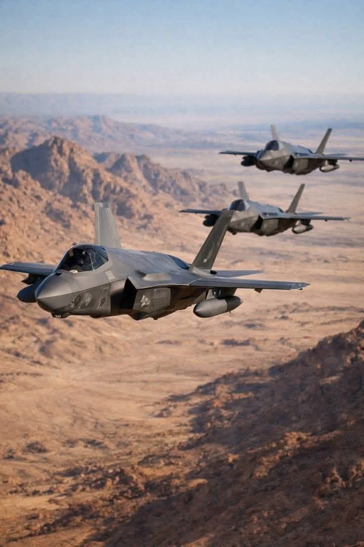 Chris Bolton tweet media