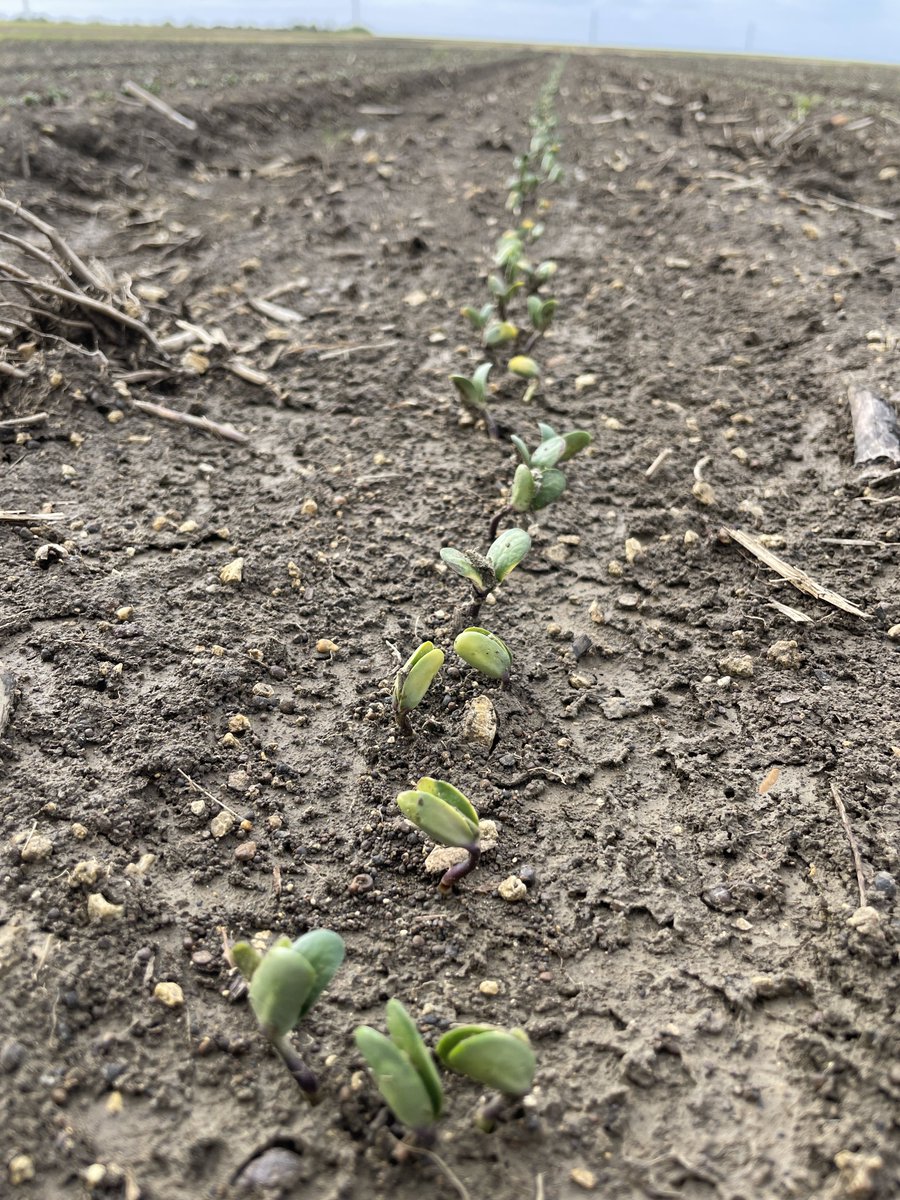 Mike Mulvaney tweet media