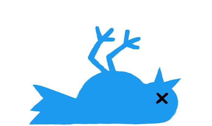 InsertNameHere tweet media