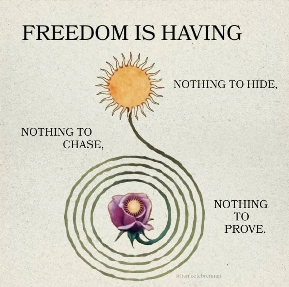 jilydulin's tweet photo. Freedom 🤍 https://t.co/0CodfwoRbu
