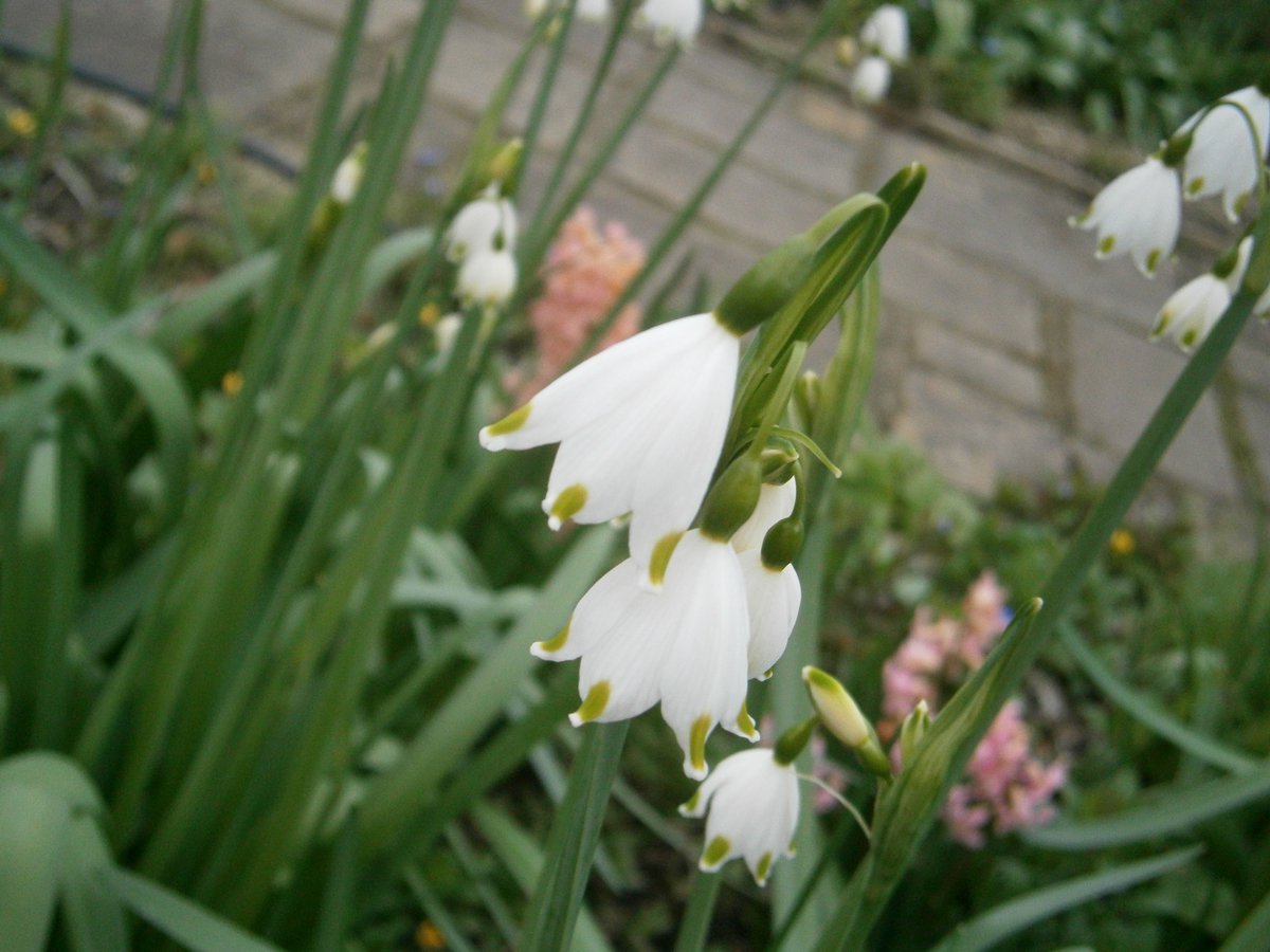 🥷Ninja boy🥷 🍃💚🍃 tweet media