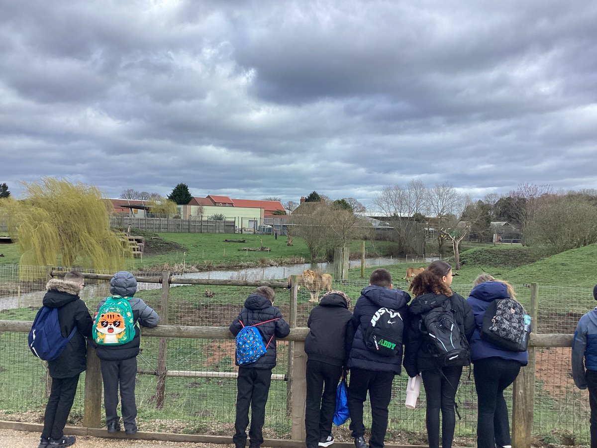 Park Aspire Alternative Provision Academy tweet media