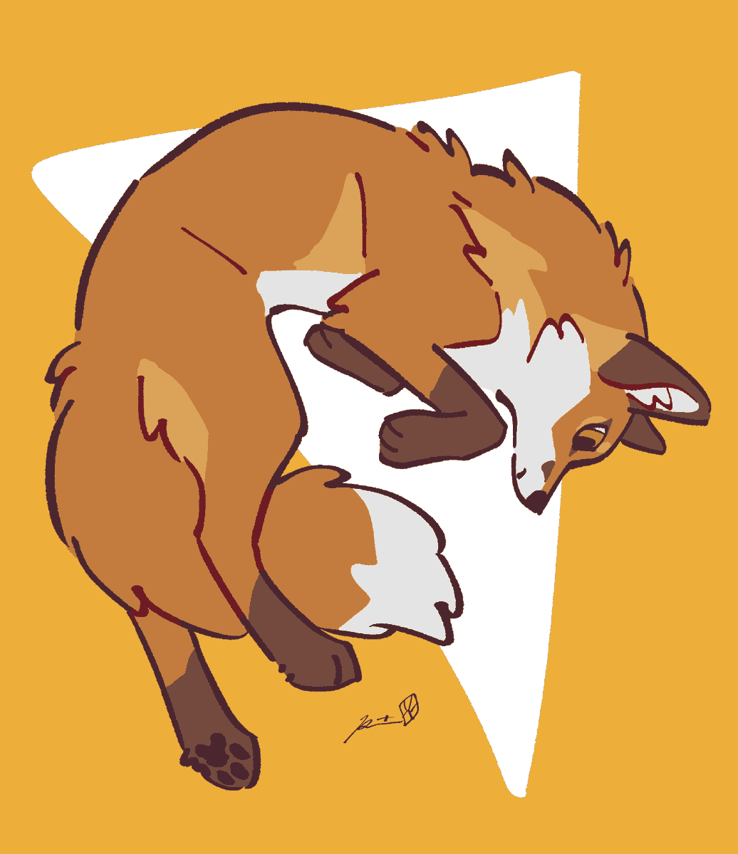 水谷霖 tweet media