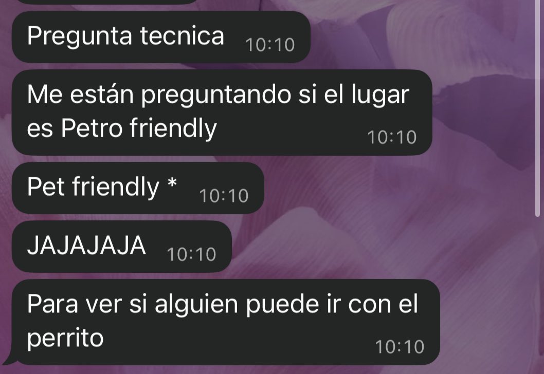 💐 nene michiko 💐 tweet media