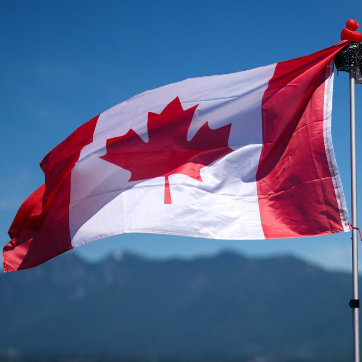 6ixBuzzTV tweet media