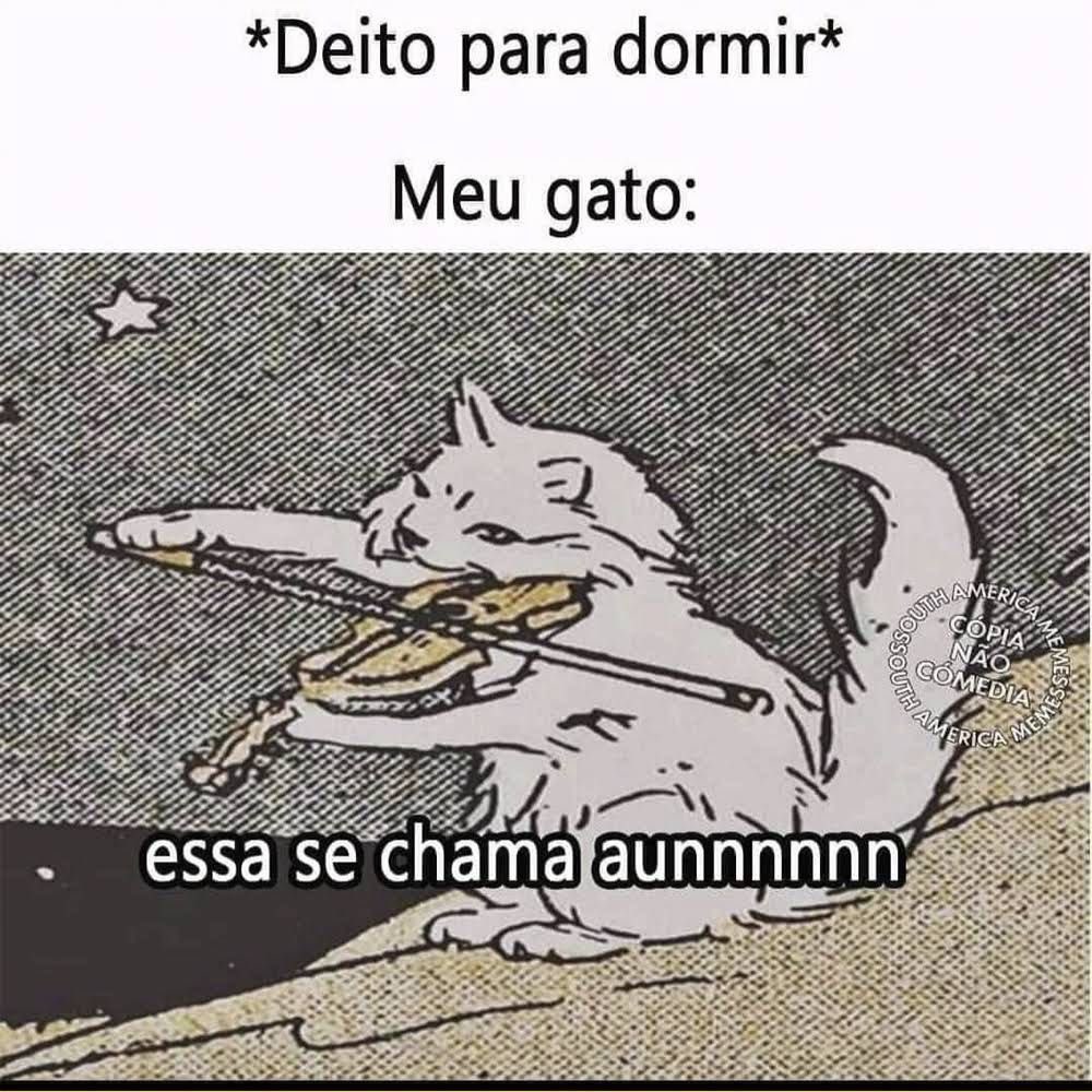 isso foi de 0 a 100 muito rapido tweet media