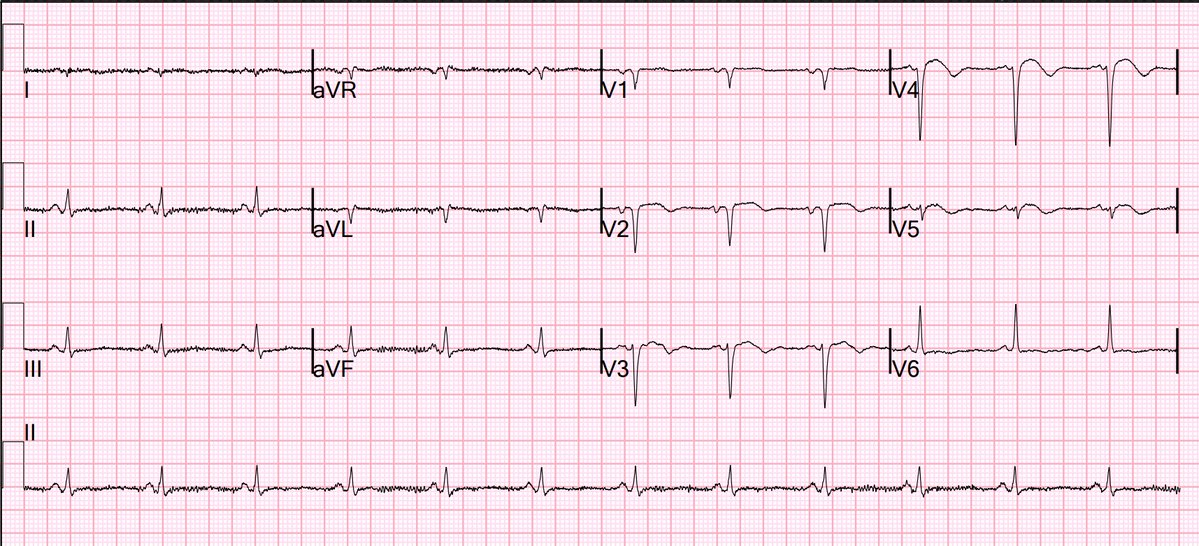 Stephen W. Smith tweet media