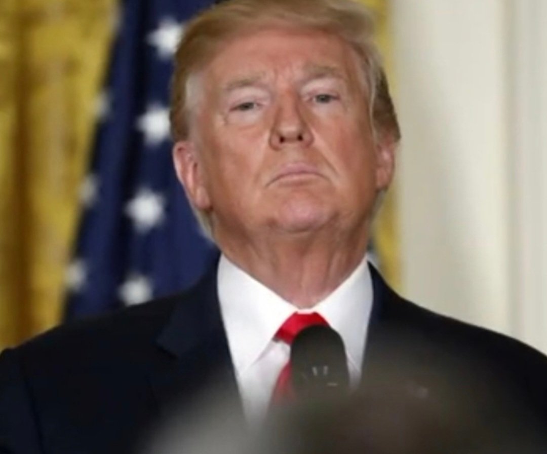 MP Arizona☀️🏳️‍🌈💙🌵🐕🐕‍🦺🫂💦🏜🐟🌴🎙🌎🌻♍️🌊 tweet media