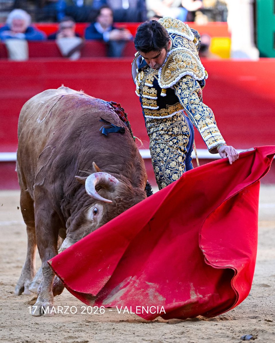 Servitoro tweet media