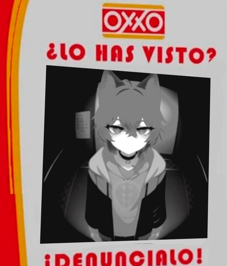 Okami Kaoz 💙👑 tweet media