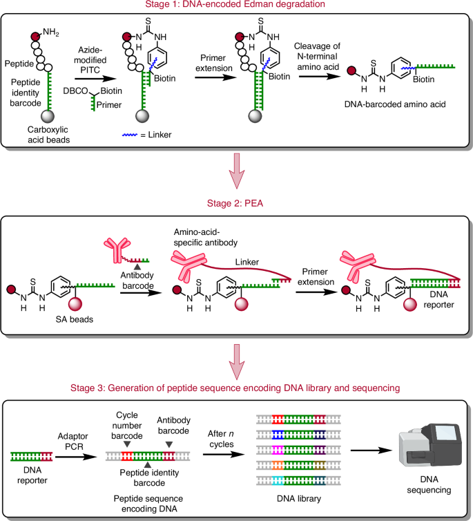 Nature Biotechnology tweet media