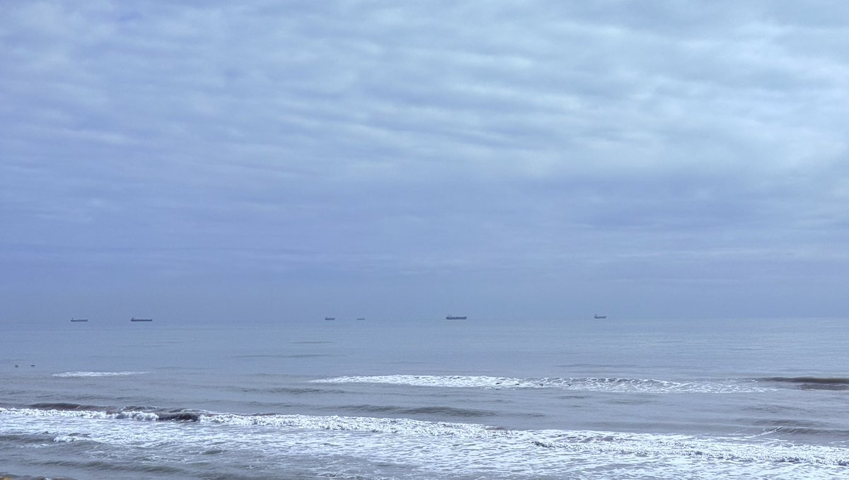 David Ed Castellanos tweet media