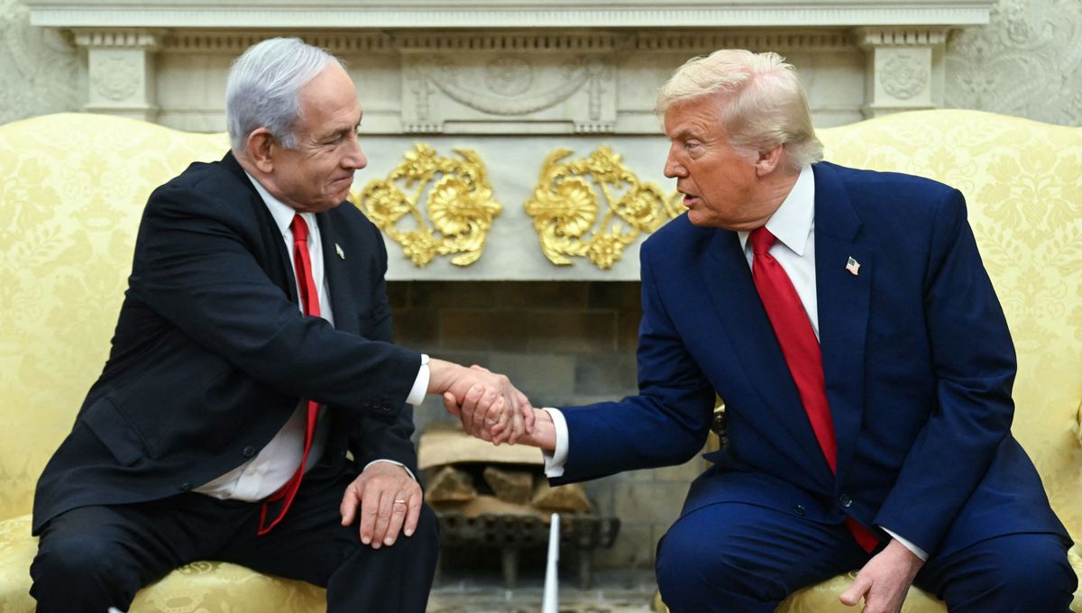 Ligue Defense Juive tweet media