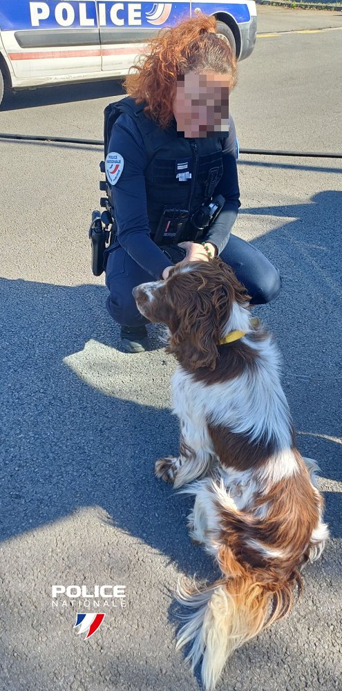 Police Nationale 44 tweet media