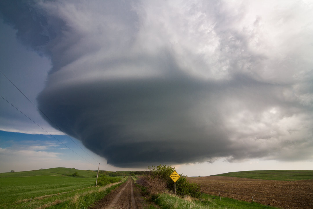 Chroniques Chaotiques tweet media