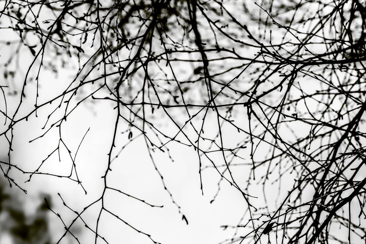 Robynne Limoges tweet media