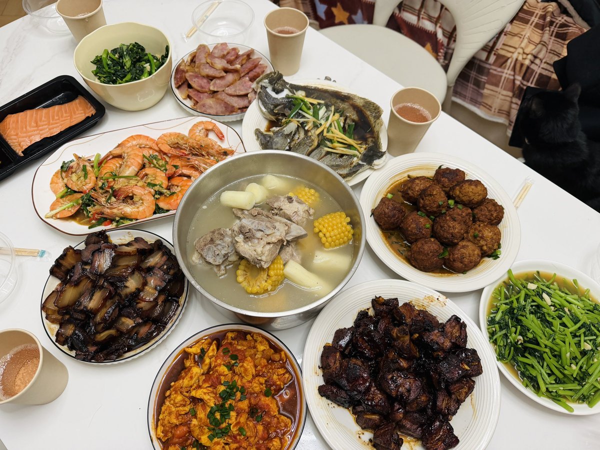 EudemoniaCC🐨 tweet media