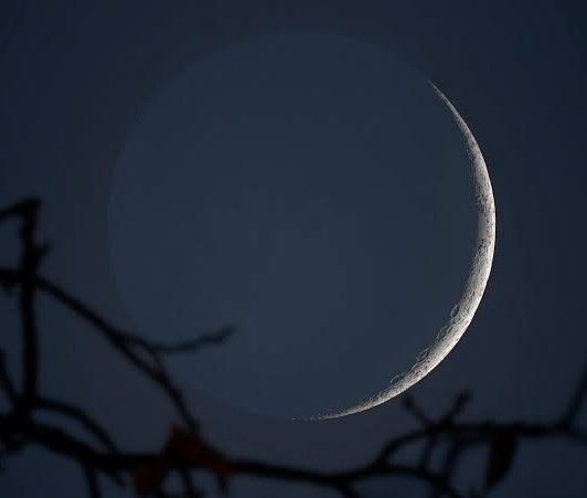 JM News Network tweet media