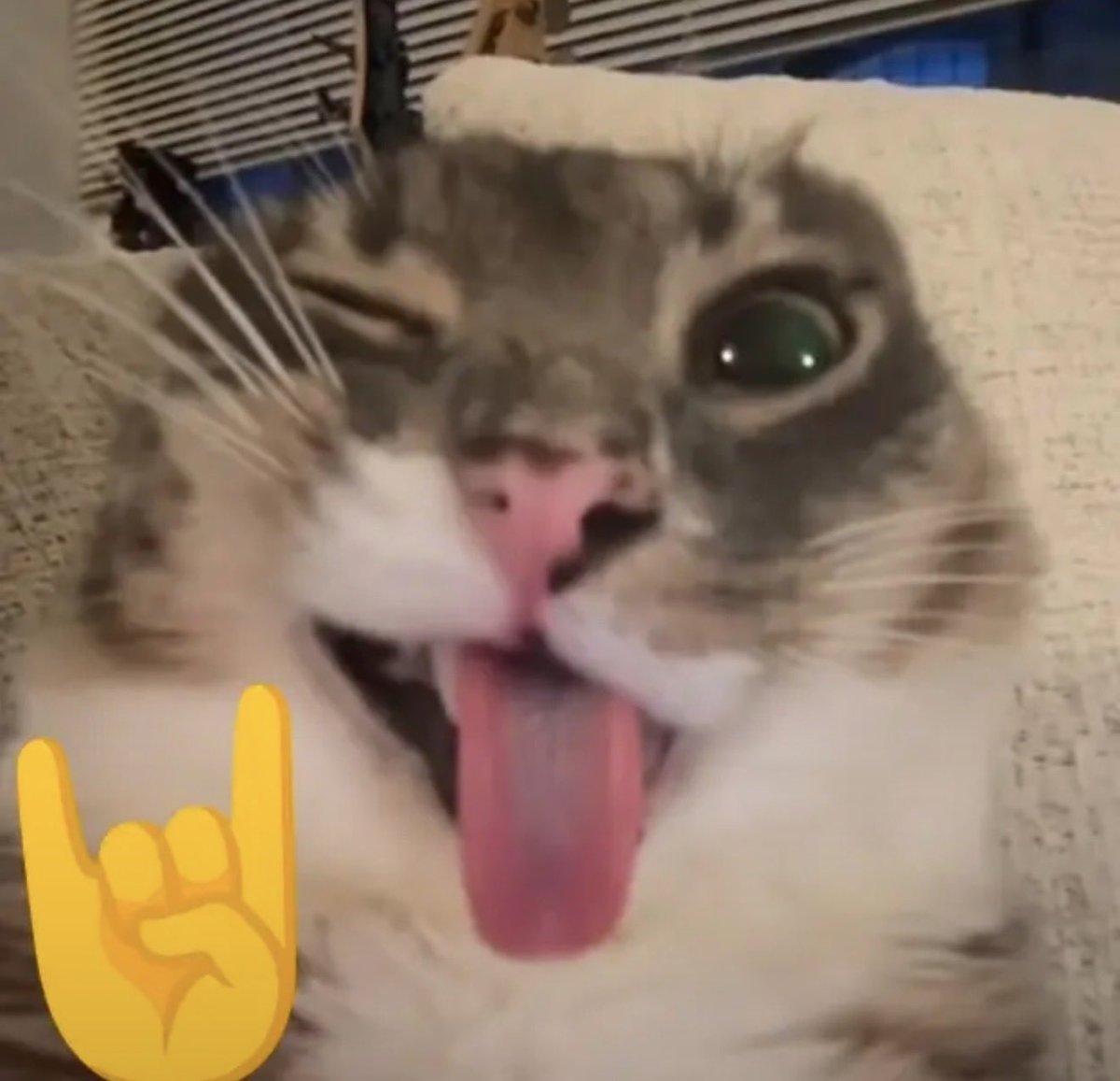 LIVE 💜

Marathon duos with Oracle today?! Let’s get ittt. 

Twitch/iknope