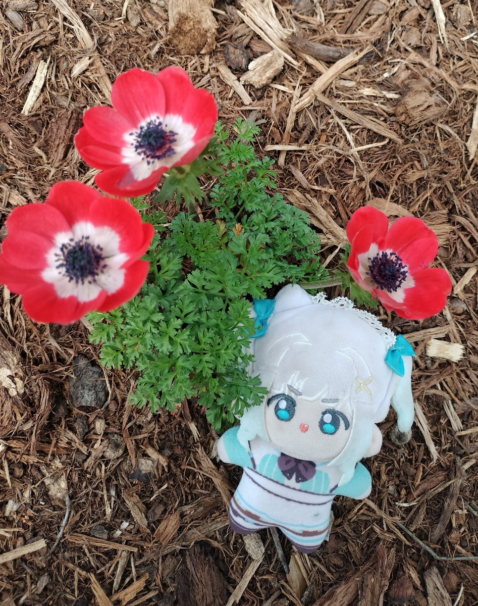 cobatts ||🧚‍♀️🍂|| tweet media