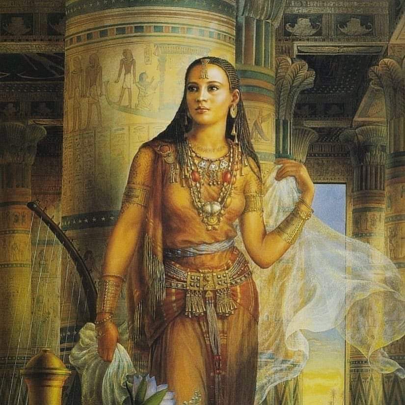 Archaeo - Histories tweet media