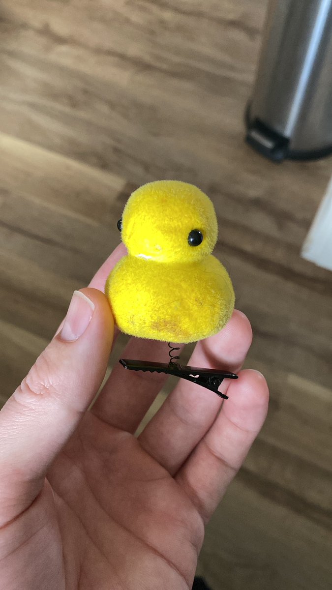 _tweetnotfound's tweet photo. I have no beak and I must quack https://t.co/6XbqiYB20L