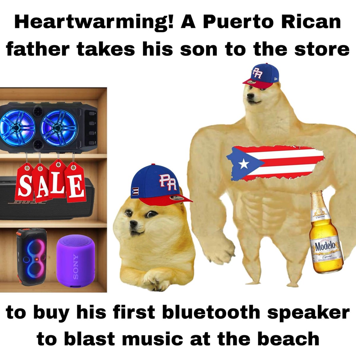 Rothmus 🏴 tweet media