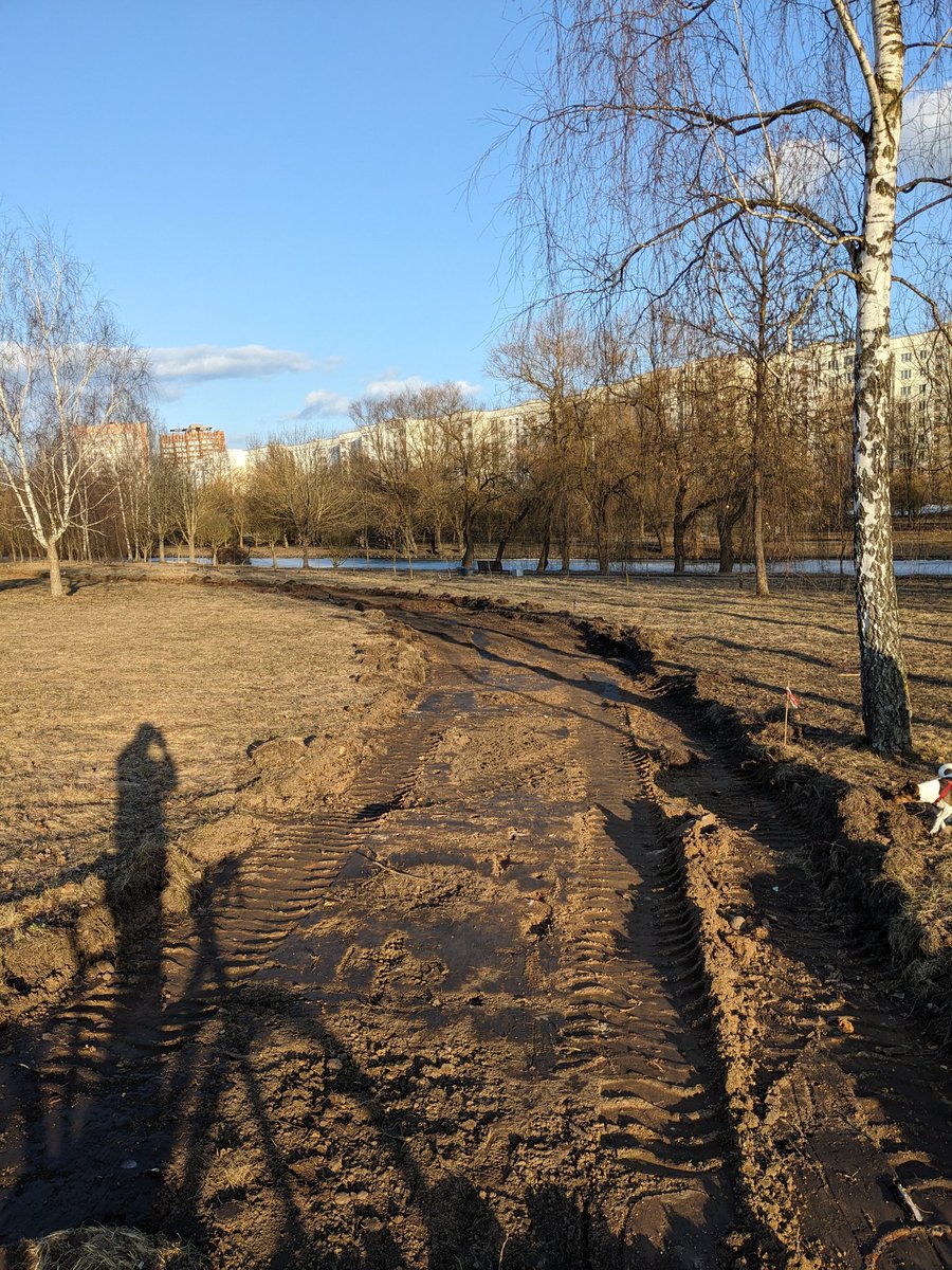 Александро tweet media