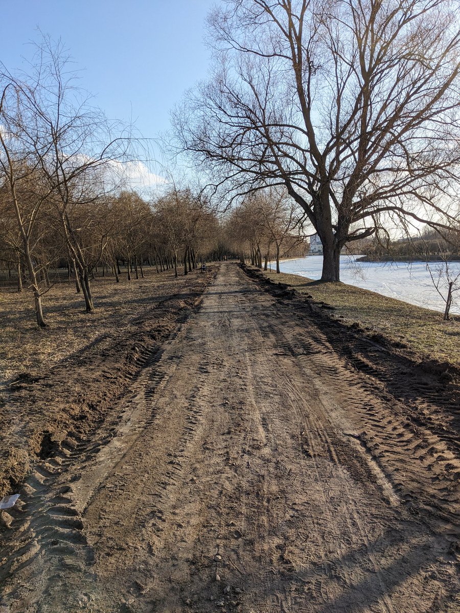 Александро tweet media