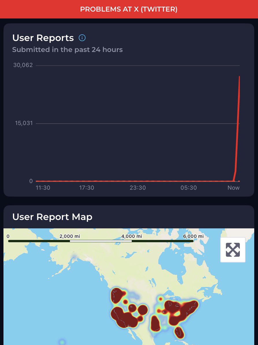 Amygator 🐊 *not an actual alligator tweet media