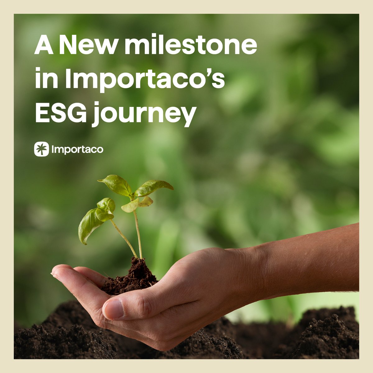 IMPORTACO tweet media