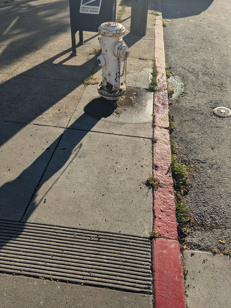 Justin Thyme tweet media