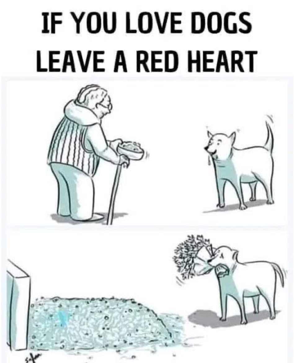 Pawzazzle tweet media