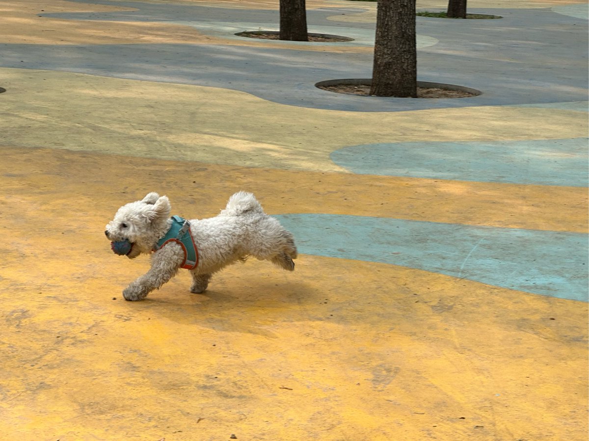 Strattica News tweet media