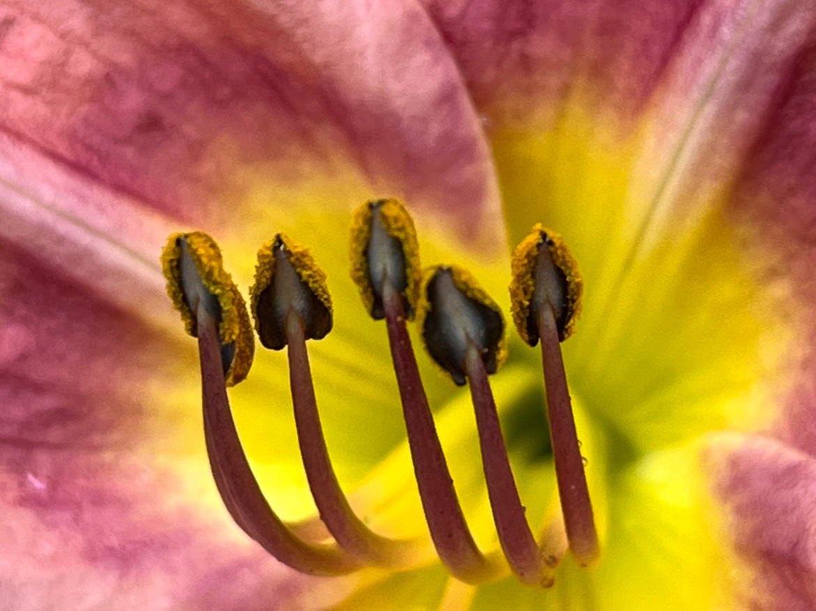 Weekly World of Comedy & Photography tweet media