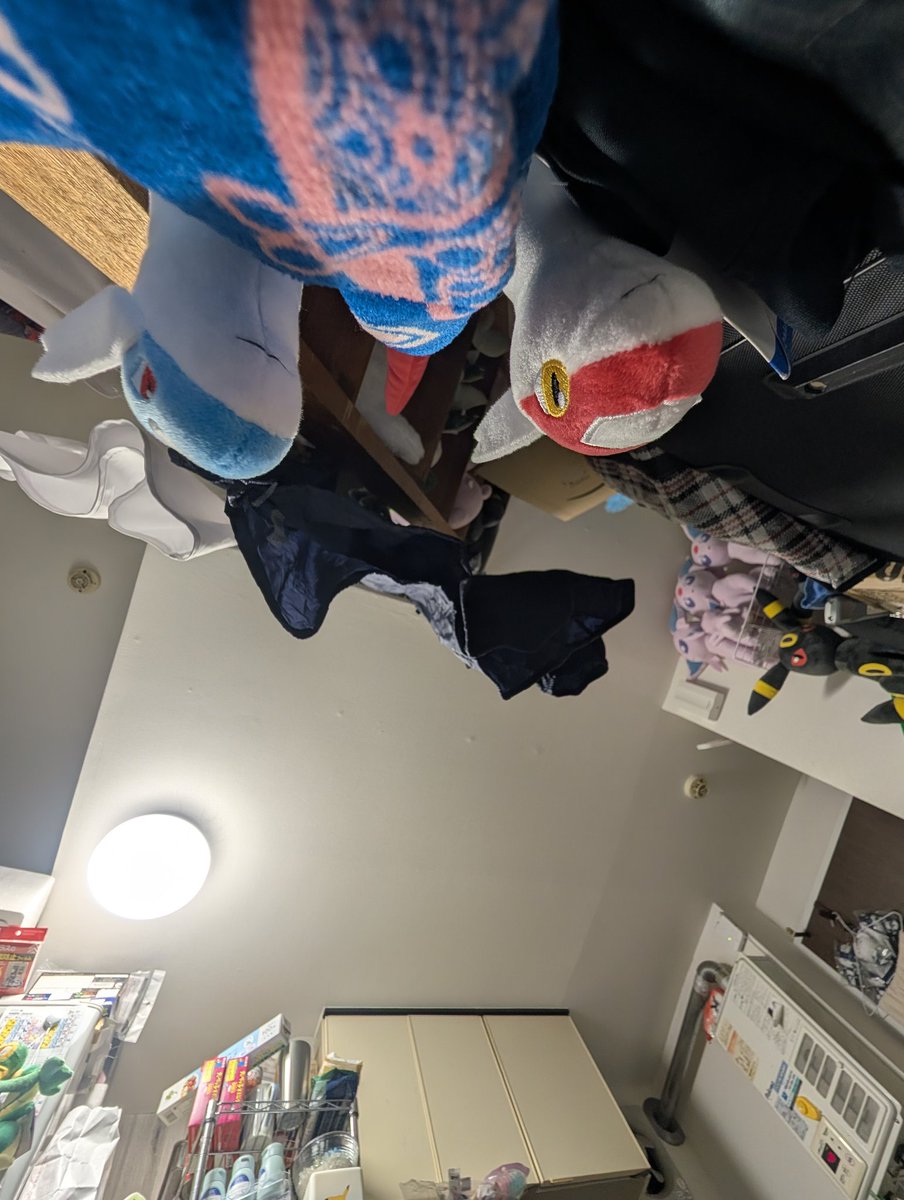 視線があった…
可愛い♪