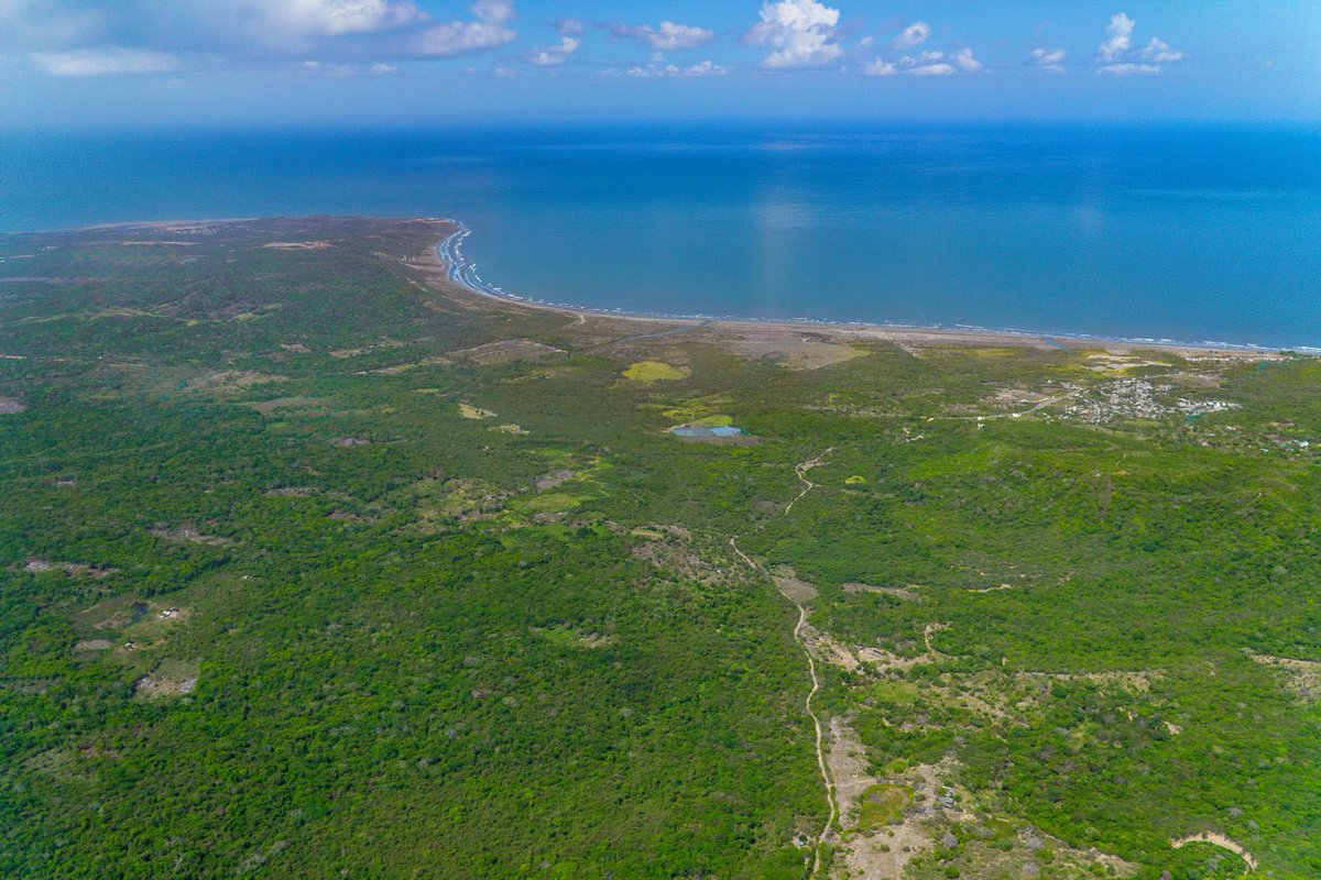 Activos Por Colombia tweet media