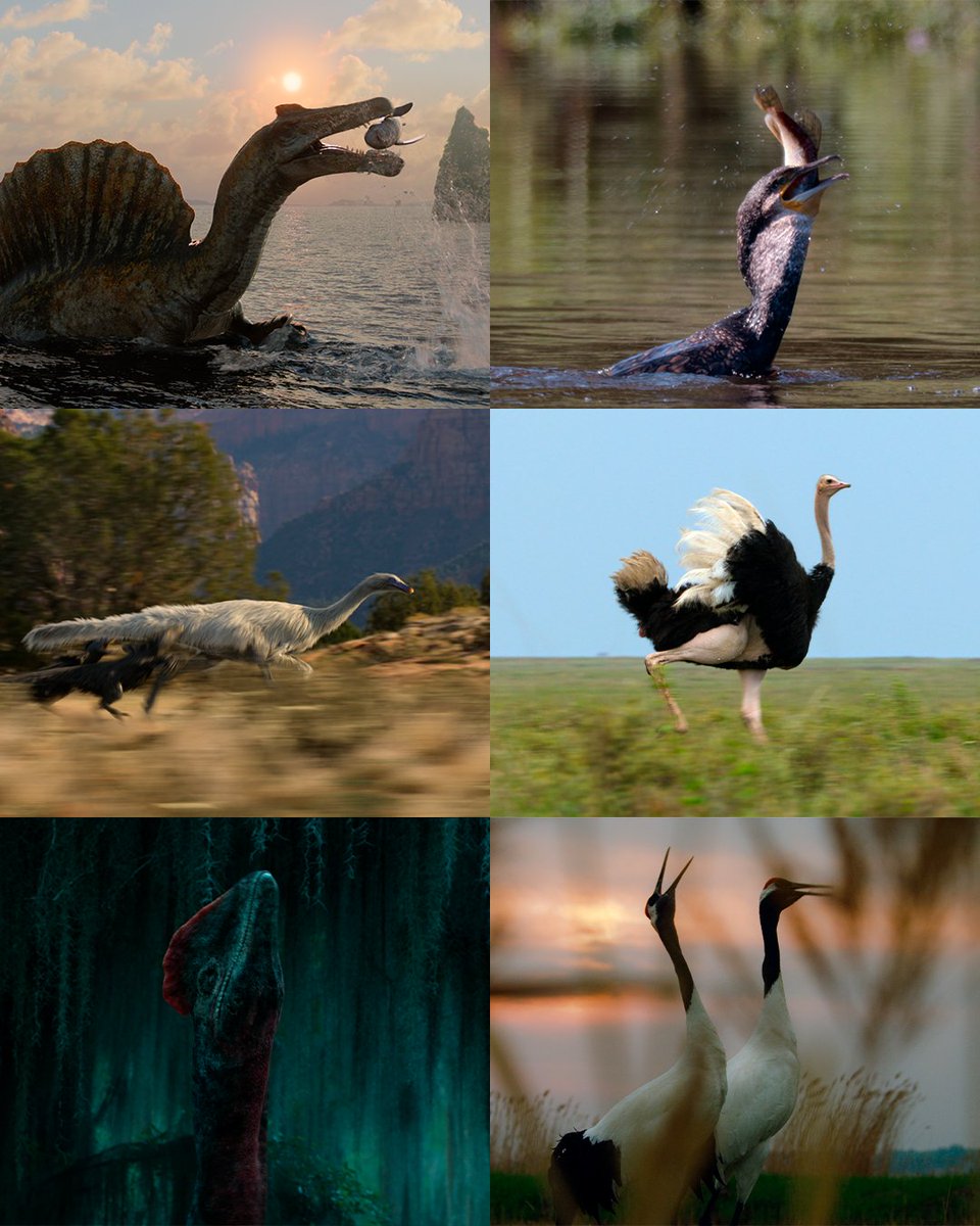 No dia mais sombrio da terra, nem todos os dinossauros morreram.

Alguns eram pequenos o bastante para se refugiar do apocalipse.

E sobreviver até os dias de hoje.

São os dinossauros voadores que hoje chamamos de aves.