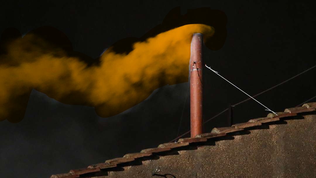 Ella Hansen tweet media