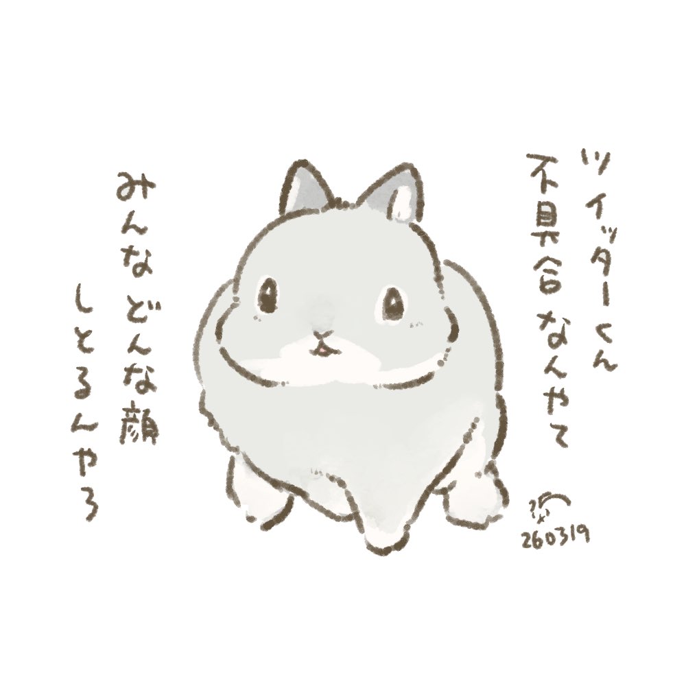 大賀一五🐰書籍発売中 tweet media