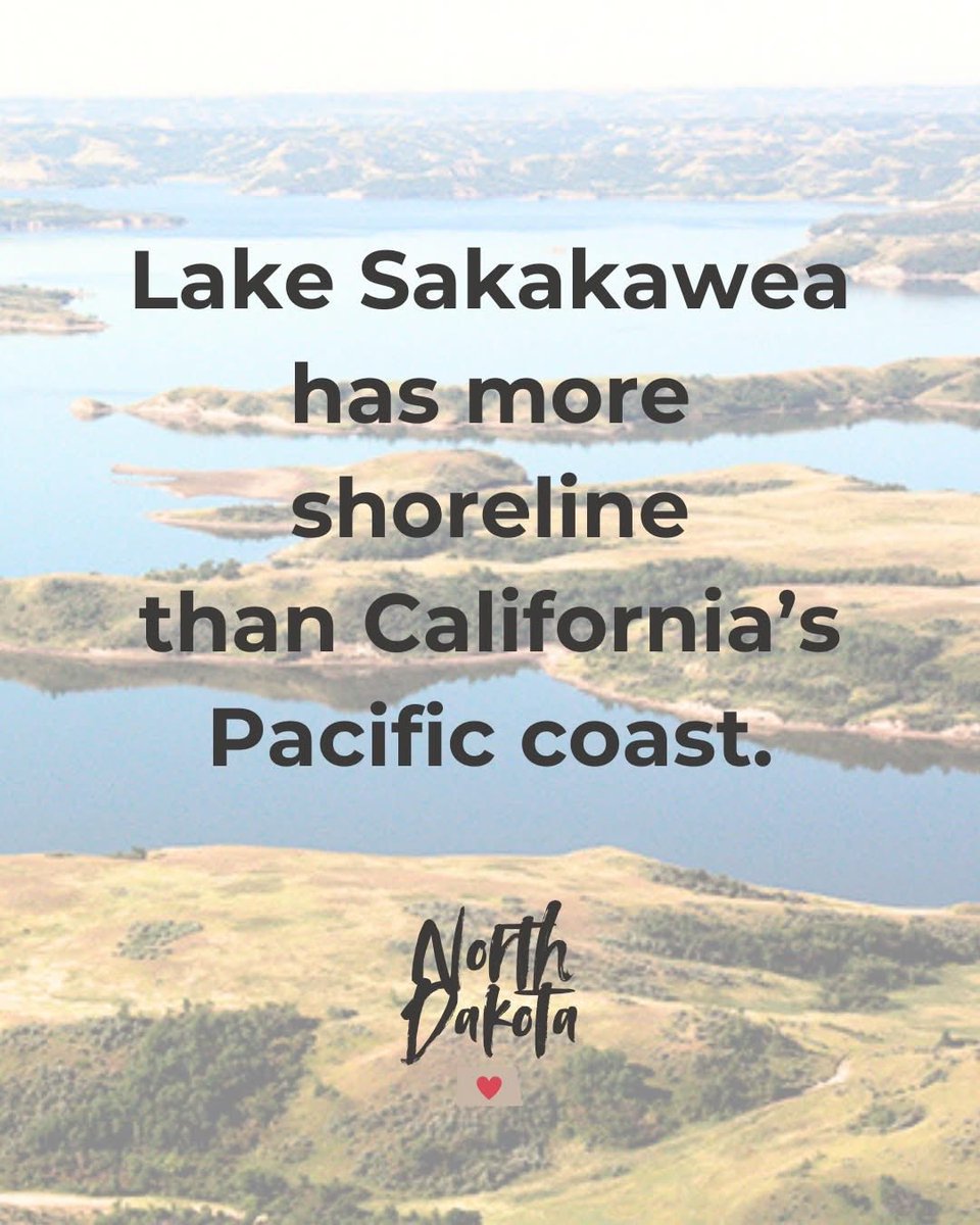 AFP North Dakota tweet media