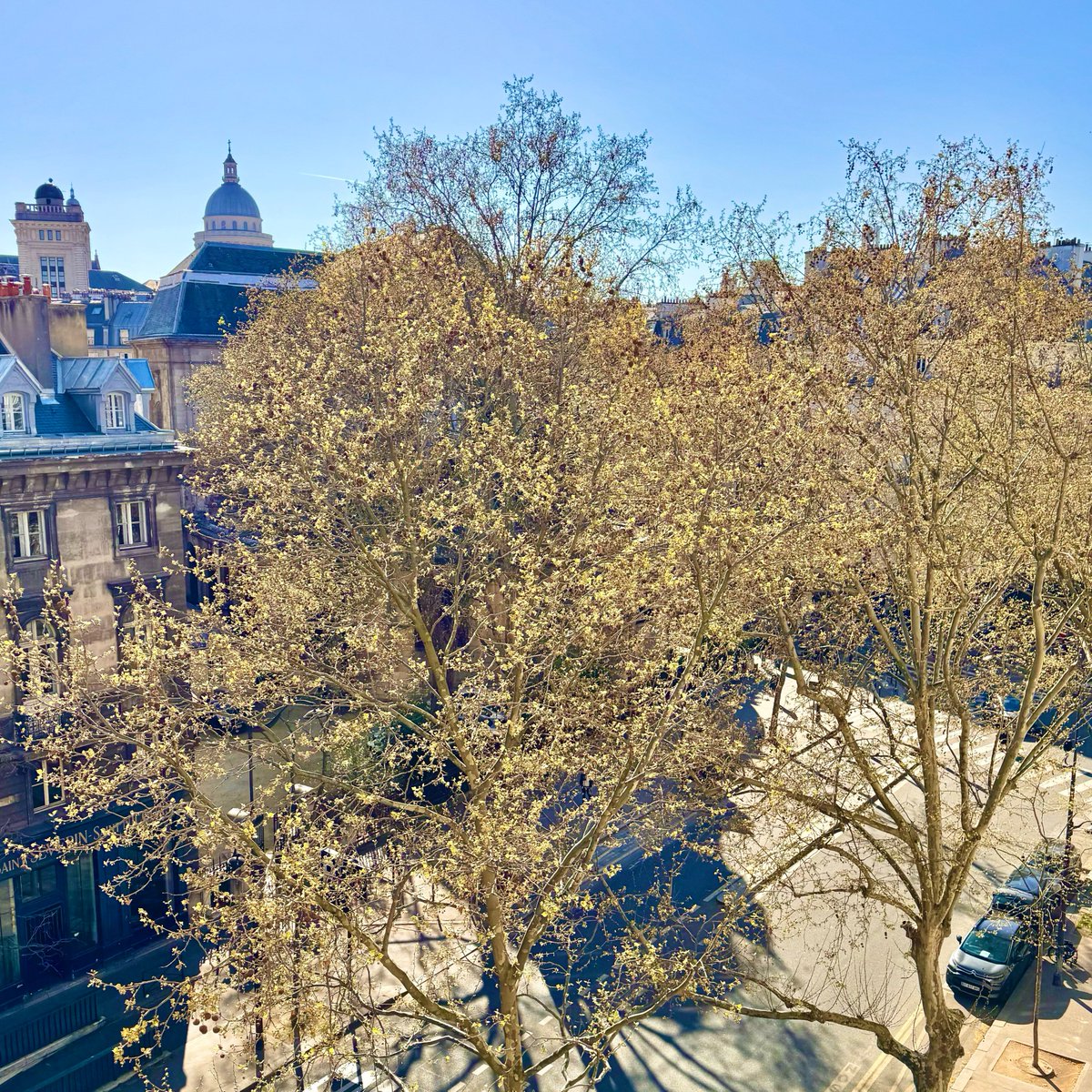 tatiana f salomon tweet media