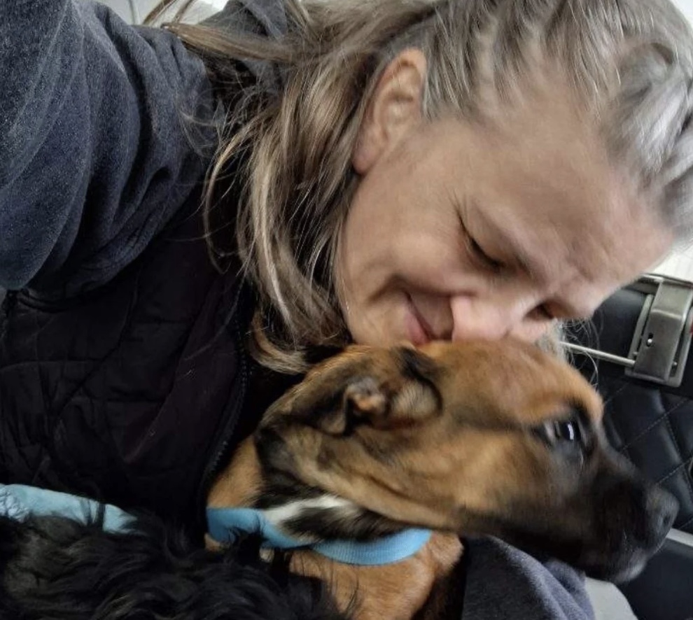 Pilots N Paws tweet media