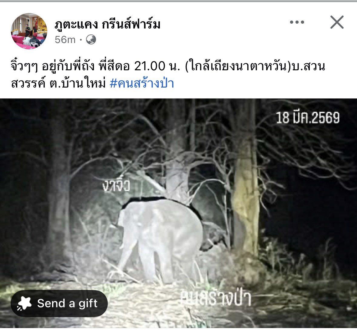 Justice for หูพับ tweet media