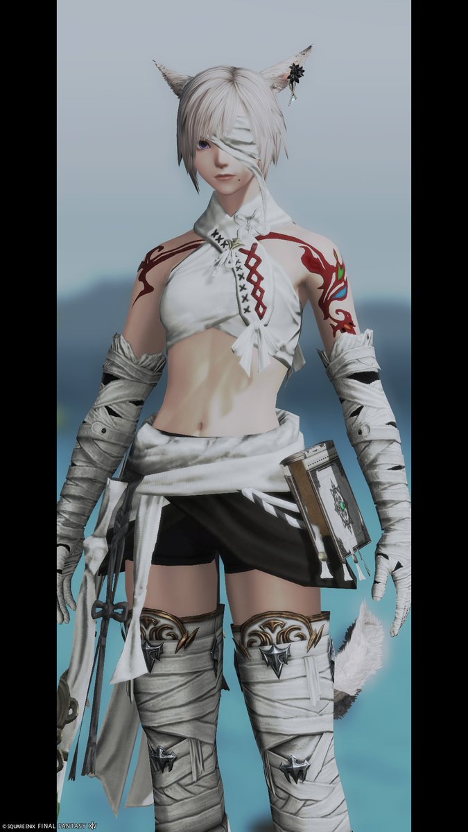 Ailes_ff14 tweet media