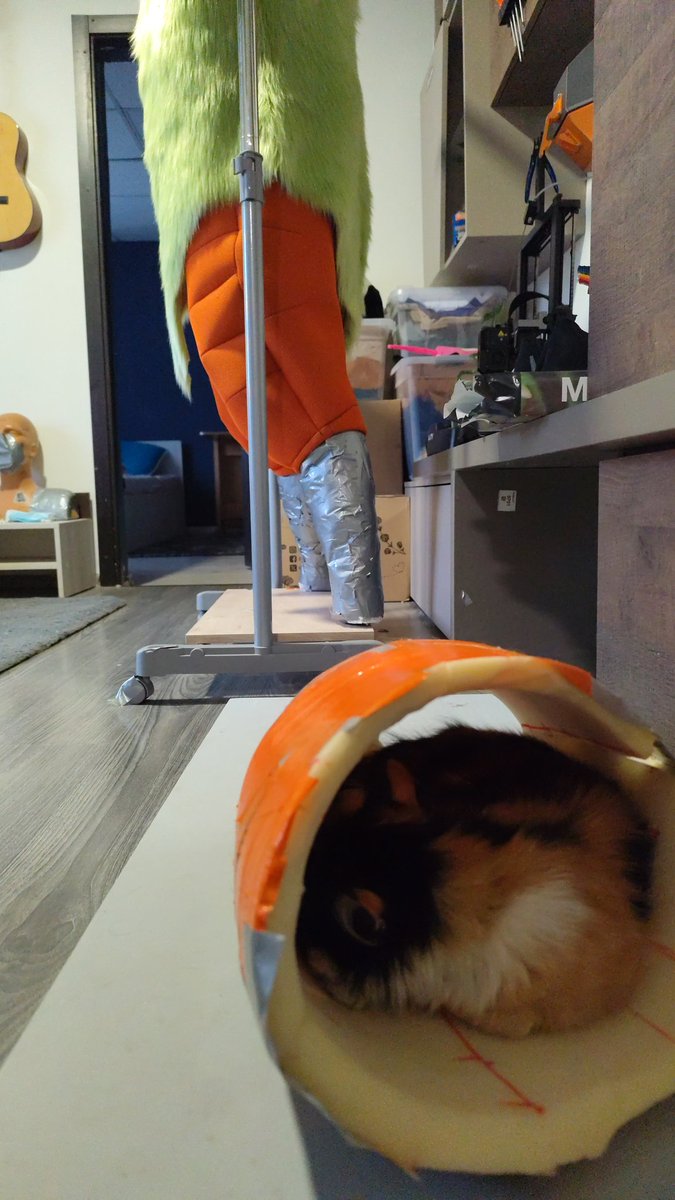 spark 🔜 CFZ2026 tweet media