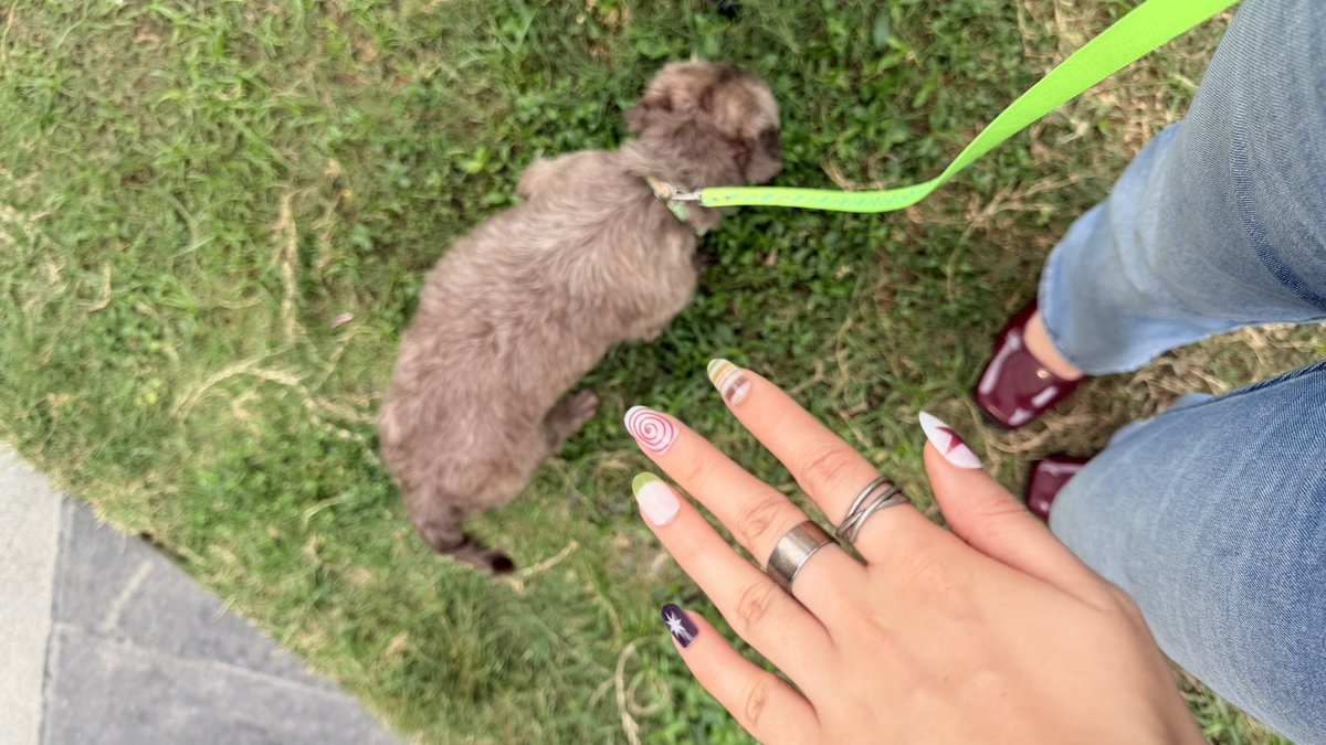 Arisse/cms open! tweet media